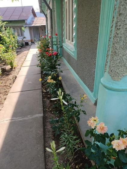 Vând casă comuna Cudalbi,județul Galați - 3