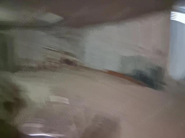 BRASADAS vinde casa in zona Titulescu - 11