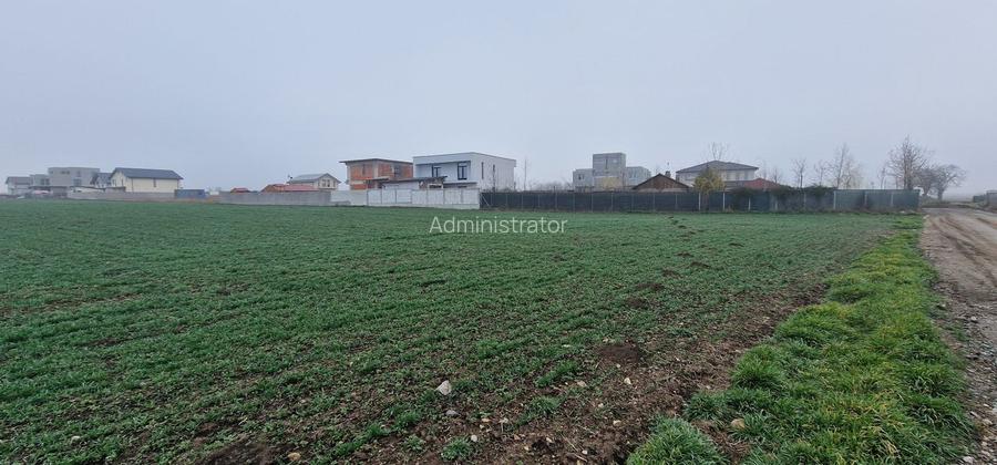 Ovidiu- Poiana, teren intravilan ideal pentru constructie case