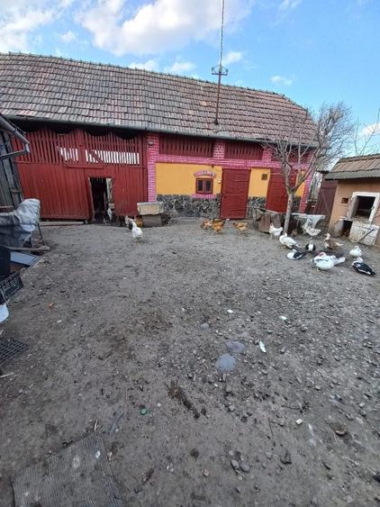 Casă vânzare Recea,1300 mp,7 min cu mașina de Târgu Mureș - 9