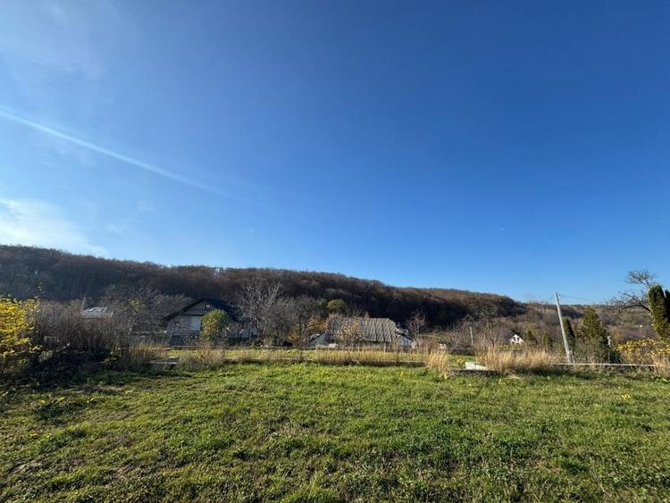 Vanzare  1400mp teren imprejmuit 2 loturi pt casa Adancata - sub padure - 9