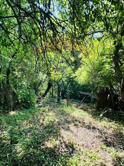 Casa cu 4 camere de vanzare pe str. Campu Negru, Sighet. - 5