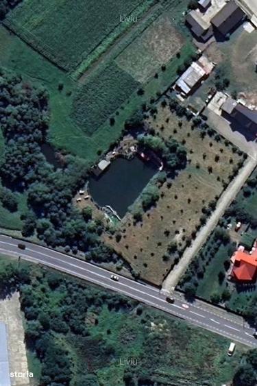 Teren de 6000mp, iaz cu peste, livada de nuci - Ilisesti - 30 km de Su - 11