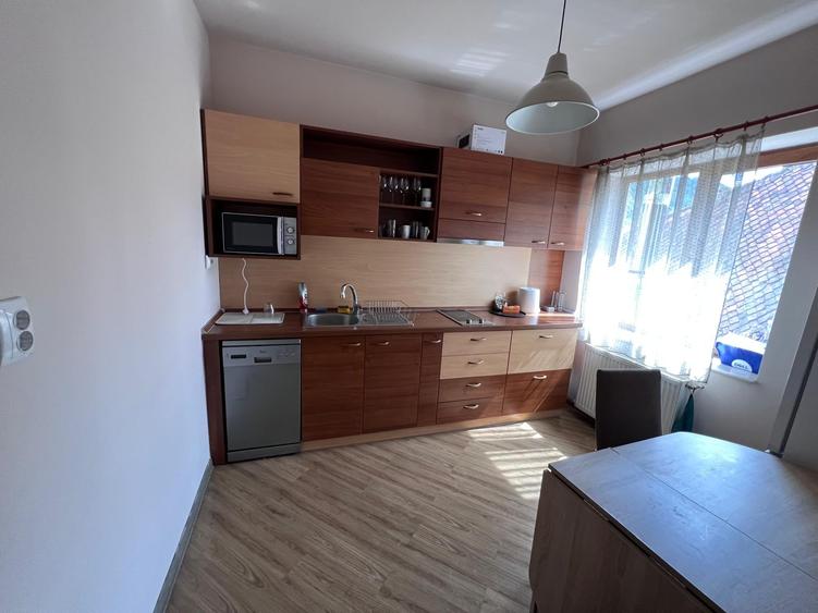 Apartament 2 Camere în Vilă Centrală - 5