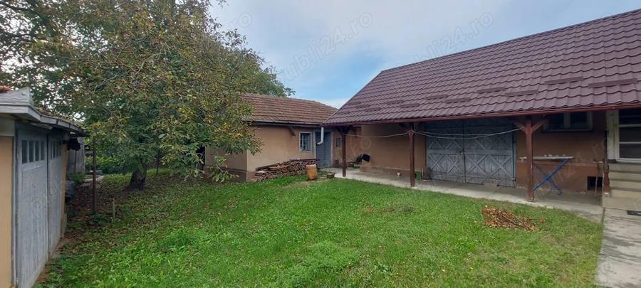 Vand casa iin Seini - 4