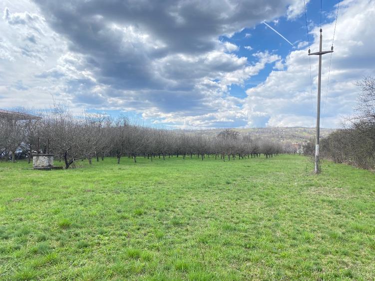 Teren intravilan 7000 mp - 12