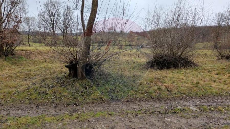 Teren 2,932mp Sarbi (Budesti) / Drumul Principal - 3