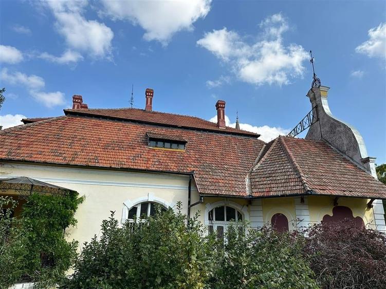 Conac Unicat Timis - 18