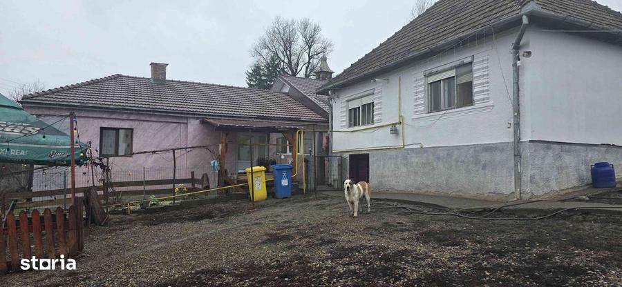 Casa separata cu teren generos de 3650mp - 8