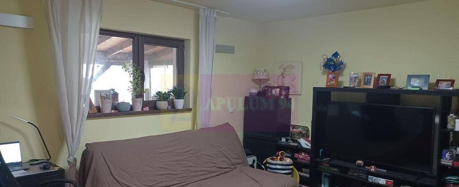 Sabareni, casa 2011, P+M 4 camere + dependin?e, curte... - 10