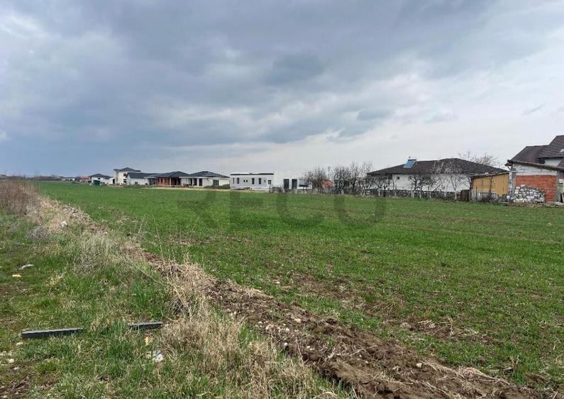 RECO IMOBILIARE,TEREN Cihei - 3