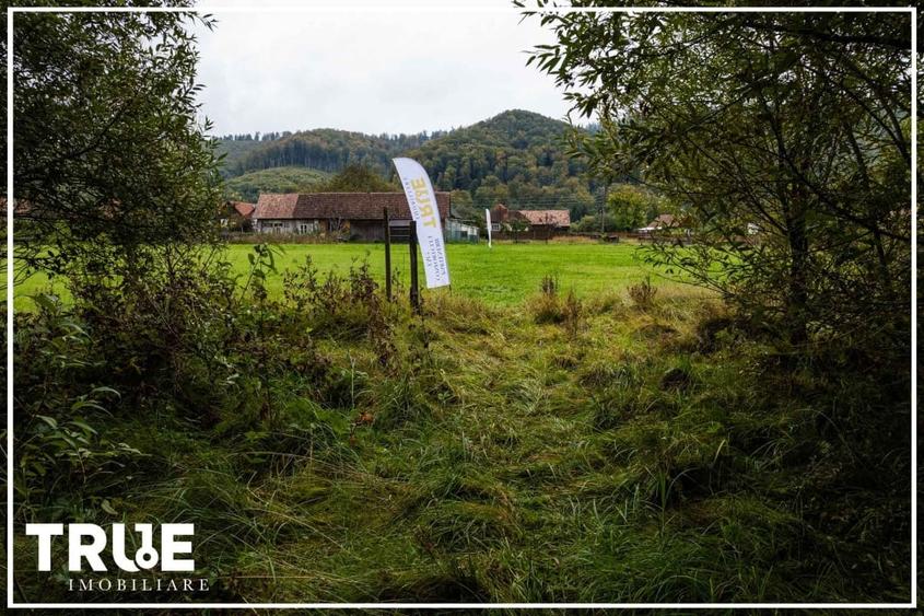 Teren intravilan C&acirc;mpul Cetății 2600m? - zonă de vacanță - 17