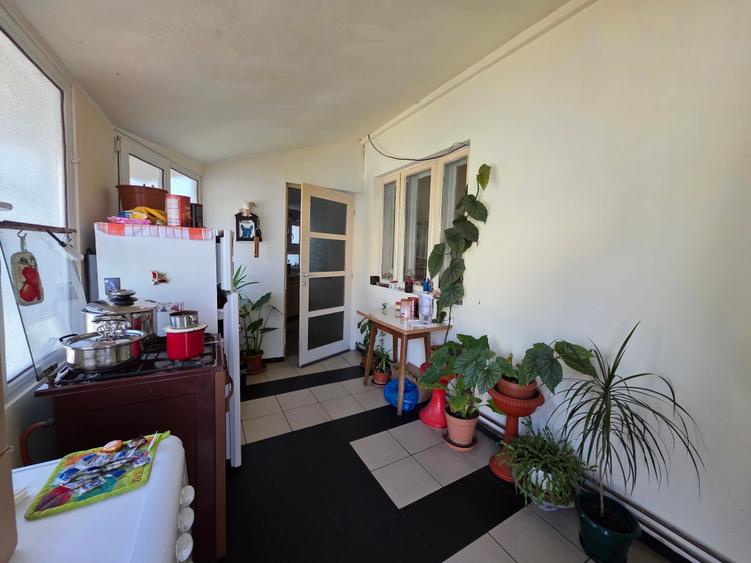 Casa Damaroaia Luptătorilor - 4