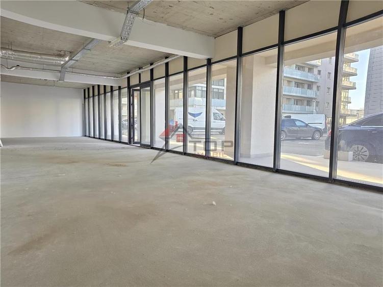 Spatiu Comercial - Conest - Tudor Vladimirescu - 11