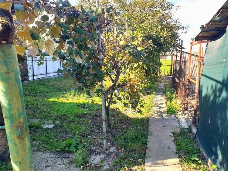 Casa cu teren in Cefa cu dublu front stradal - 9