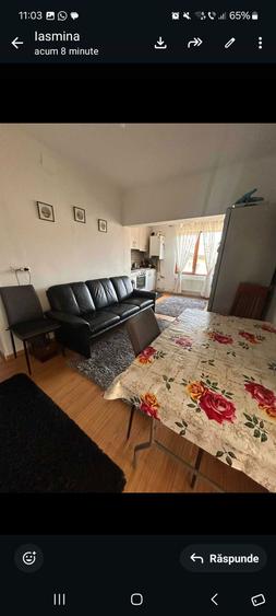 Imobiliare casa de vanzare - 8