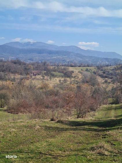 Teren ideal pt cabana , picnic sau casuta de vacanta la 8 km - 1