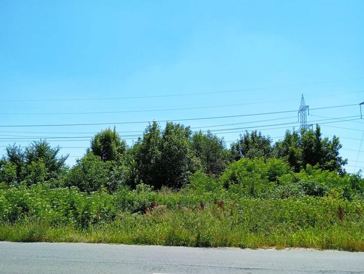 TEREN INTRAVILAN 8300 MP SECTOR 3 ZONA NICOLAE TECLU CEL MAI MIC PRET 431.600 Eu - 4