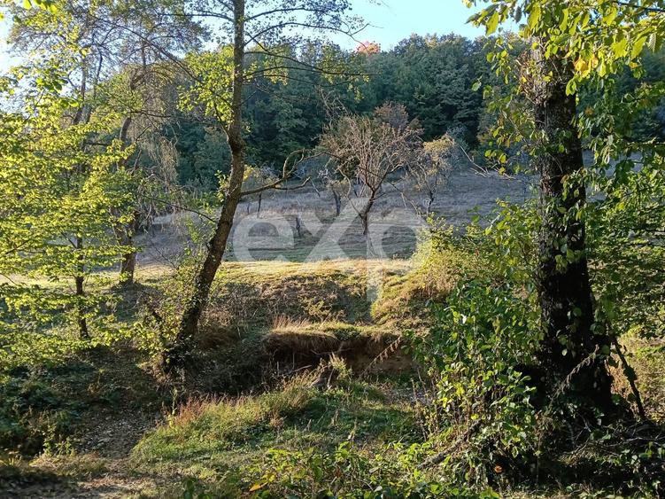 Teren Construcții extravilan de 3700 mp, în Vulturești