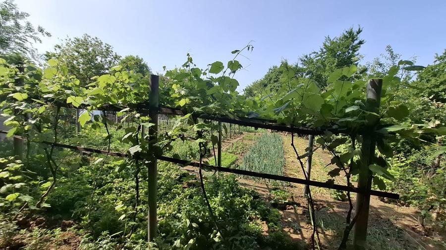 Kamsas - teren 2303 mp - deschidere 41.2 ml - 3