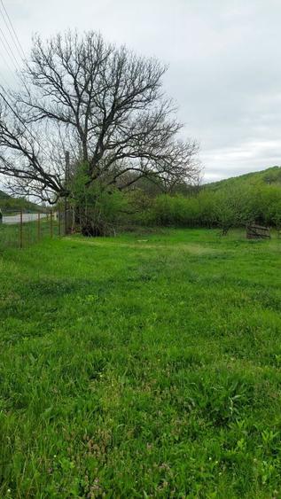 Casa + 9800 mp teren, Cotmeana -Arges, zona verde, potential turistic - 1