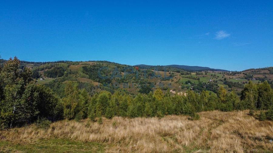 Comision 0% teren intravilan 1000 mp, PUZ, priveliste, Baisoara - 2