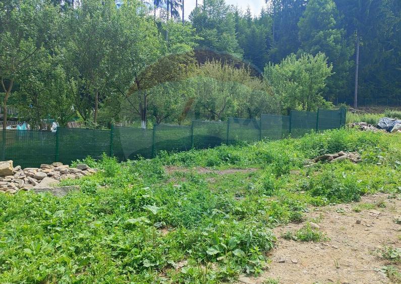 Teren in Bucovina, intravilan 3824 mp Deia-Frumosu, Suceava - 6