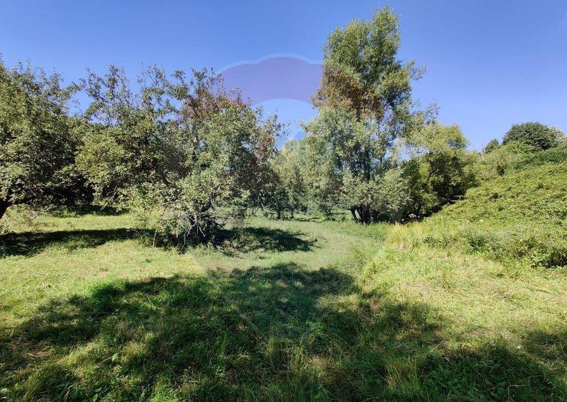 Teren intravilan in Remetea Chioarului - 10