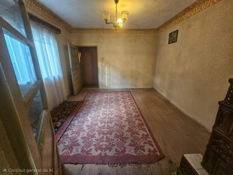 Exclusivitate! Casă cu teren generos în Sat Olteni, Com.Teișani - 26