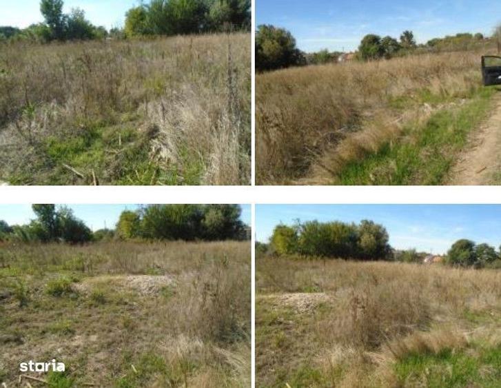 Teren Branceni, ID: R2942560 - 8