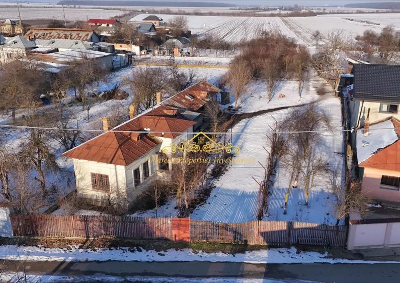 Teren, 7470 mp Trestieni Ulmi si casa - 6