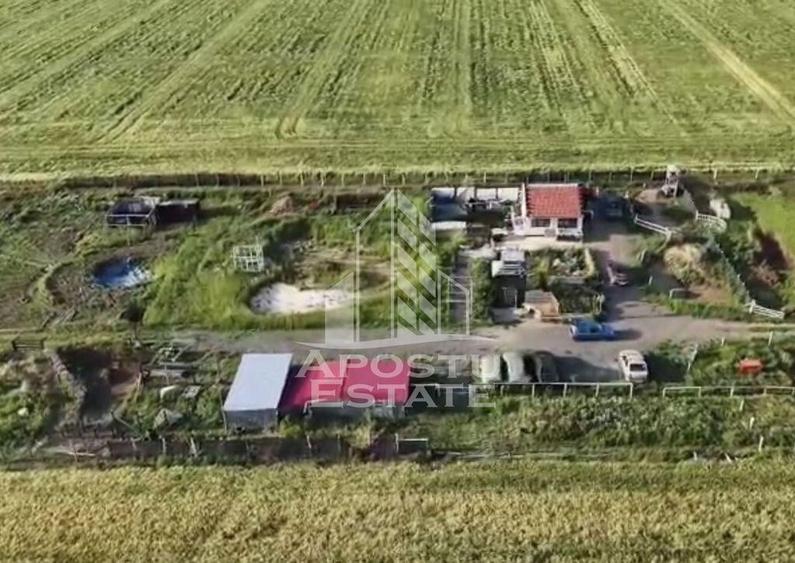 Farmhouse la 14km de Timisoara, teren agricol 1ha - 3