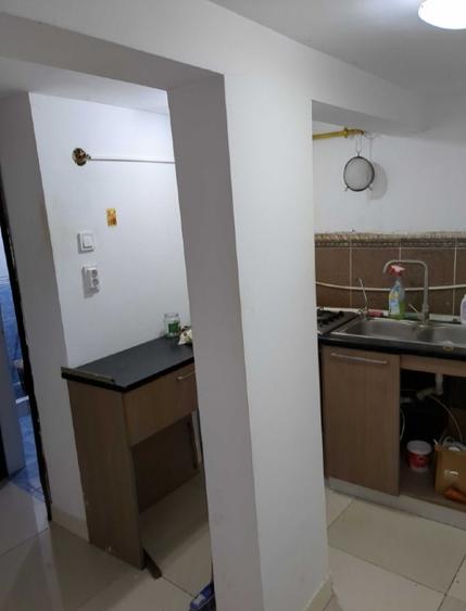 Colentina Parcul Plumbuita, Sector 2 București.  - 7