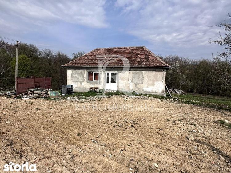 Casa cu livada | teren 2800 mp | Stracos | Bihor - 4