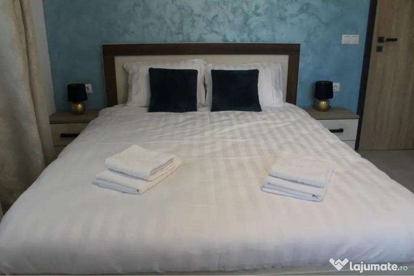 Apartament cu 2 camere Central (pet friendly) - Sibiu (Sibiu) - 2