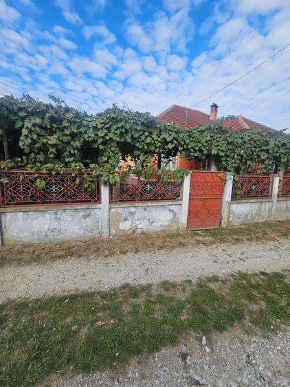 Casă cu 4 camere în Baia de Fier
