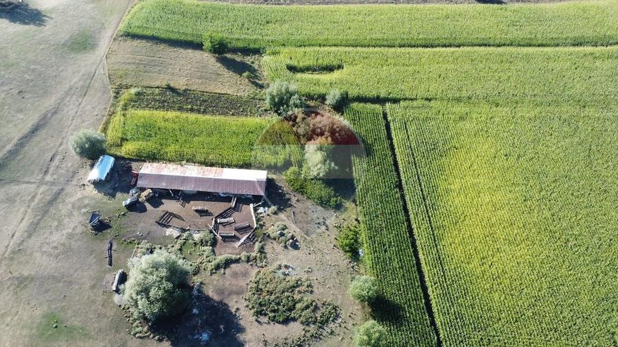 Teren agricol intravilan de 4400 mp, în Moara