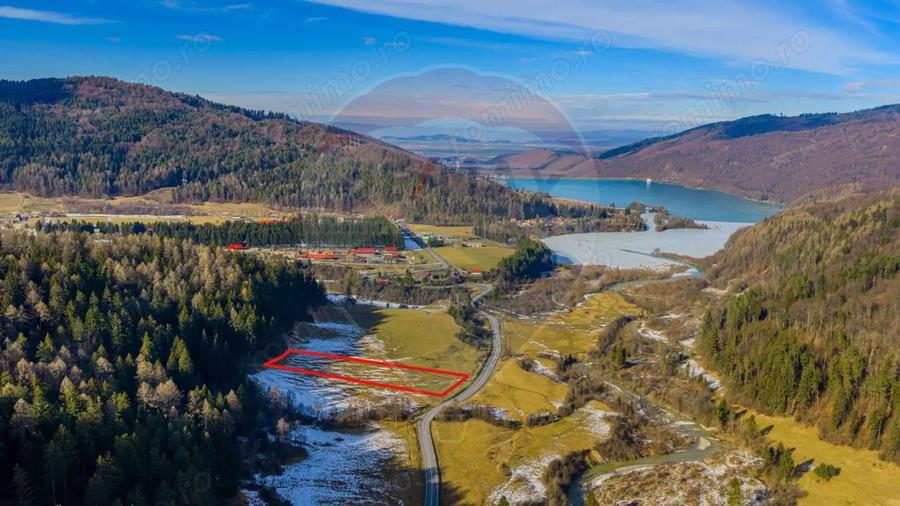 Teren de 10000 mp, în Brădet