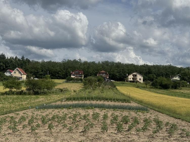 Casă cu 3 camere în Alparea