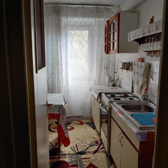 Apartament cu 2 camere semidecomandat în Viziru 3