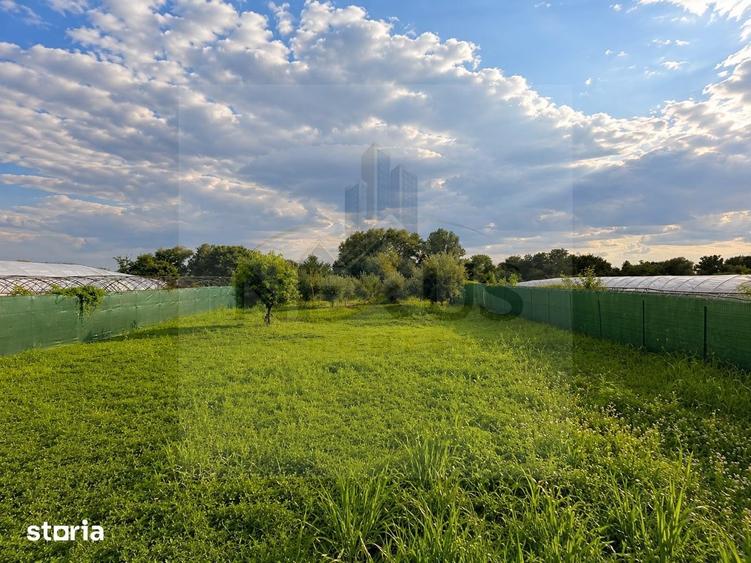 Casă cu 5 camere cu Teren 4500 Mp în Băneasa