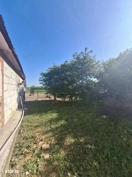 Casă cu 2 camere cu Teren 2156 Mp în Central