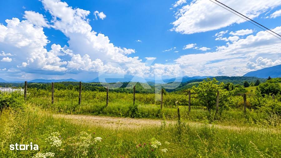 PANORAMA POIANA MARULUI | Teren cu potential de dezvoltare zona Afte - 1