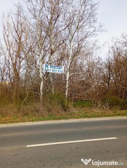 Teren în Central