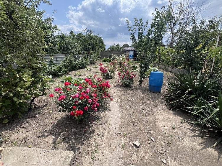 Casă cu 3 camere în Central