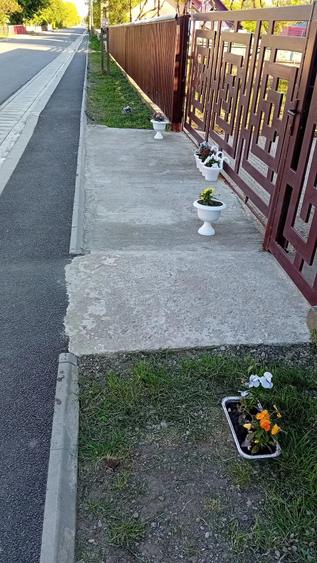 Casă cu 4 camere cu Teren 4000 Mp în Ștefănești