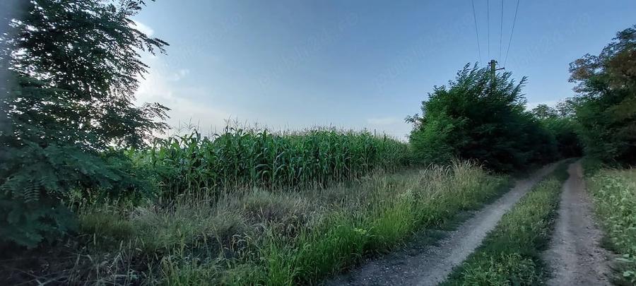 Teren de 7200 mp, în Dumbrăvița