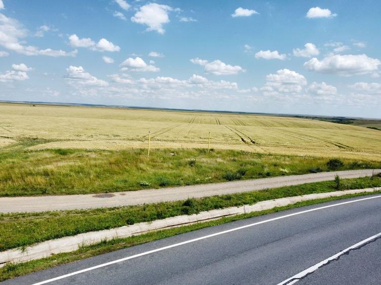Teren Construcții extravilan de 30588 mp, în Orțișoara