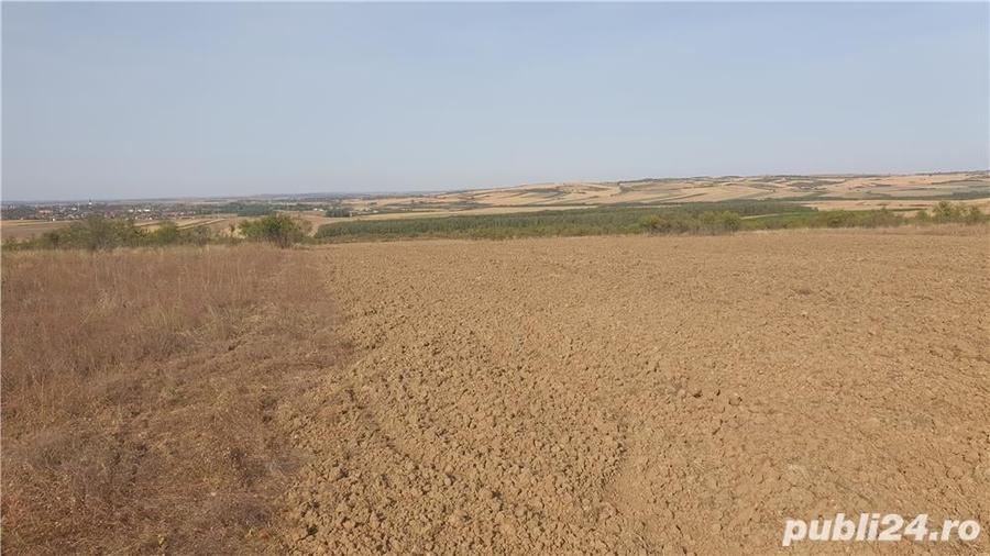Teren de 10900 mp, în Oncea
