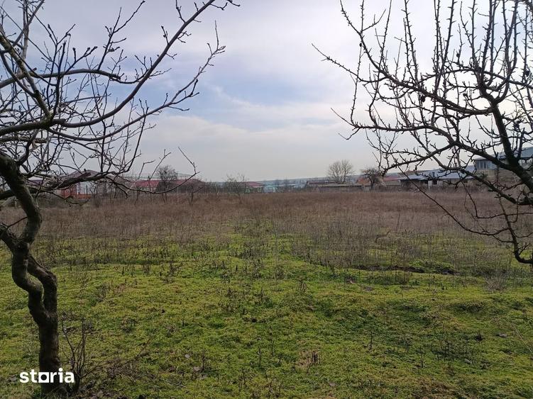 Teren de 4625 mp, în Frecăței